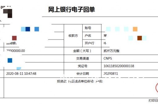 益阳亮资摆账-设立验资报告-亮资照片