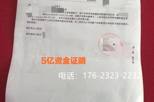 庆幸获知晋城一致推荐的亮资摆账公司