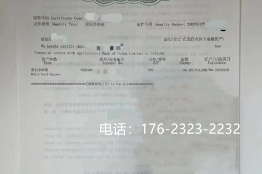 雅安亮资摆账企业显资-公司余额小票