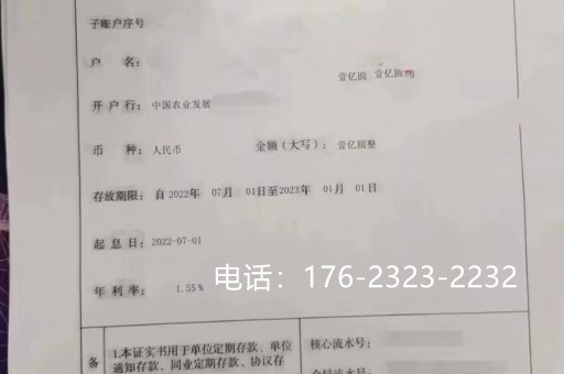 景德镇亮资摆账-留学存款证明-阳光存款