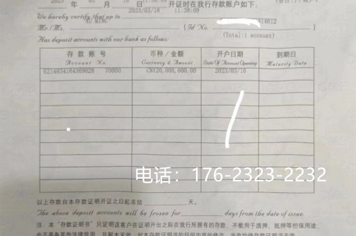 哈尔滨亮资摆账（哈尔滨摆摊需要什么手续）