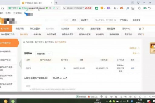 神速会意乌鲁木齐不可多得的亮资摆账公司