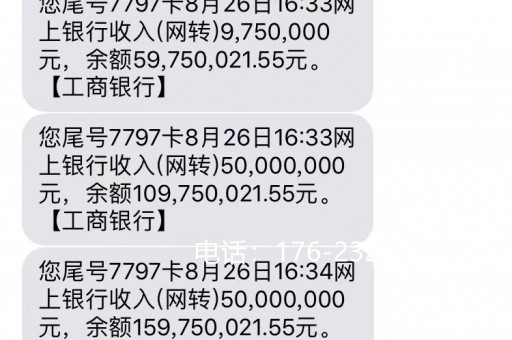 关于亮资5000万一天多少钱的信息