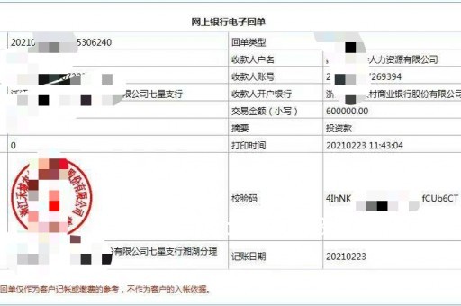 黄山验资摆账(验资摆账公司)