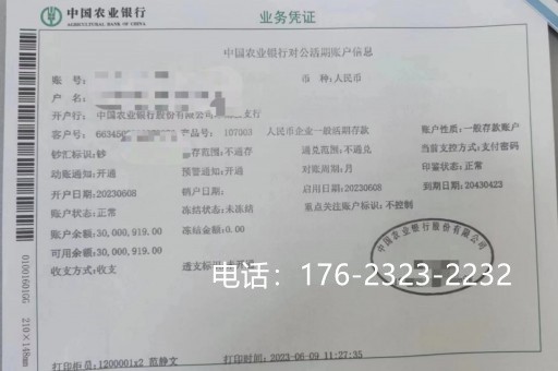 自贡企业亮资摆账办理（工程亮资摆账）价格良心