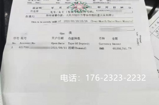 宁波亮资摆账公司-项目亮资摆账，价格美丽