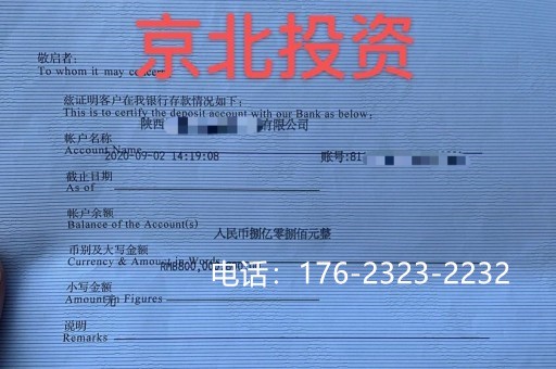 和田亮资摆账公司-个人验资摆账，上门快