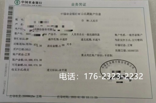 日照亮资摆账公司-银行验资摆账，不乱压价