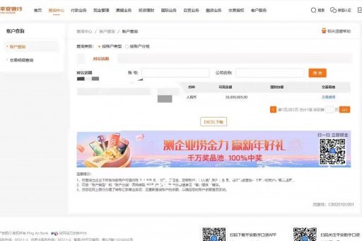   来宾亮资摆账服务：实力的证明，信任的保障