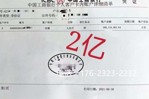   衡阳帮忙亮资摆账：专业、高效、安全的资金证明服务