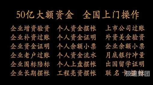   眉山帮忙亮资摆账：您的实力证明专家