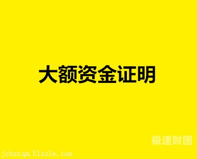   泸州帮忙亮资摆账：专业、高效、安全的资金证明服务