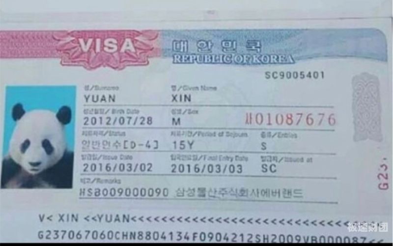 d2韩国签证存款证明多少钱（韩国签证银行存款证明）