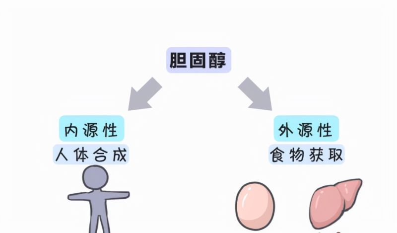 什么是内源性增资扩股（内源资本）-第1张图片