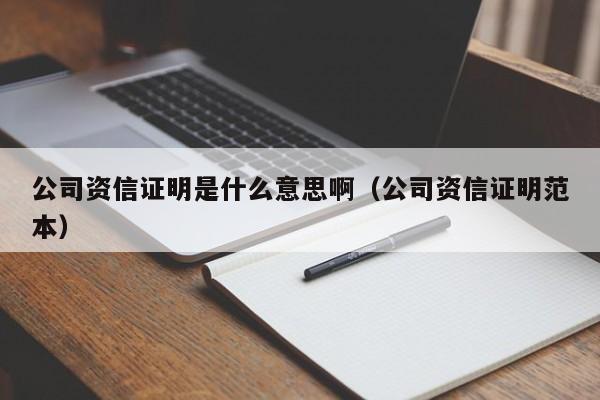 公司资信证明是什么意思啊（公司资信证明范本）