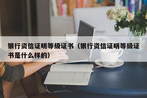 银行资信证明等级证书（银行资信证明等级证书是什么样的）