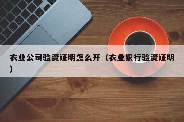 农业公司验资证明怎么开（农业银行验资证明）