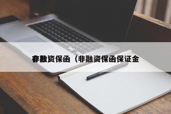 非融资保函（非融资保函保证金
存款）